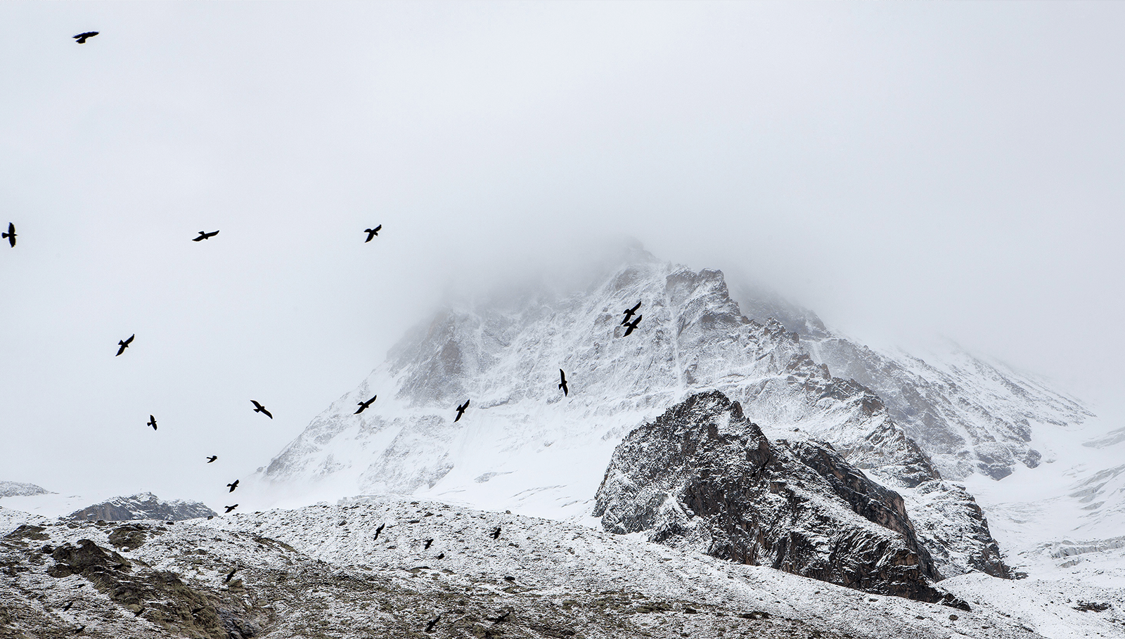 mountain top